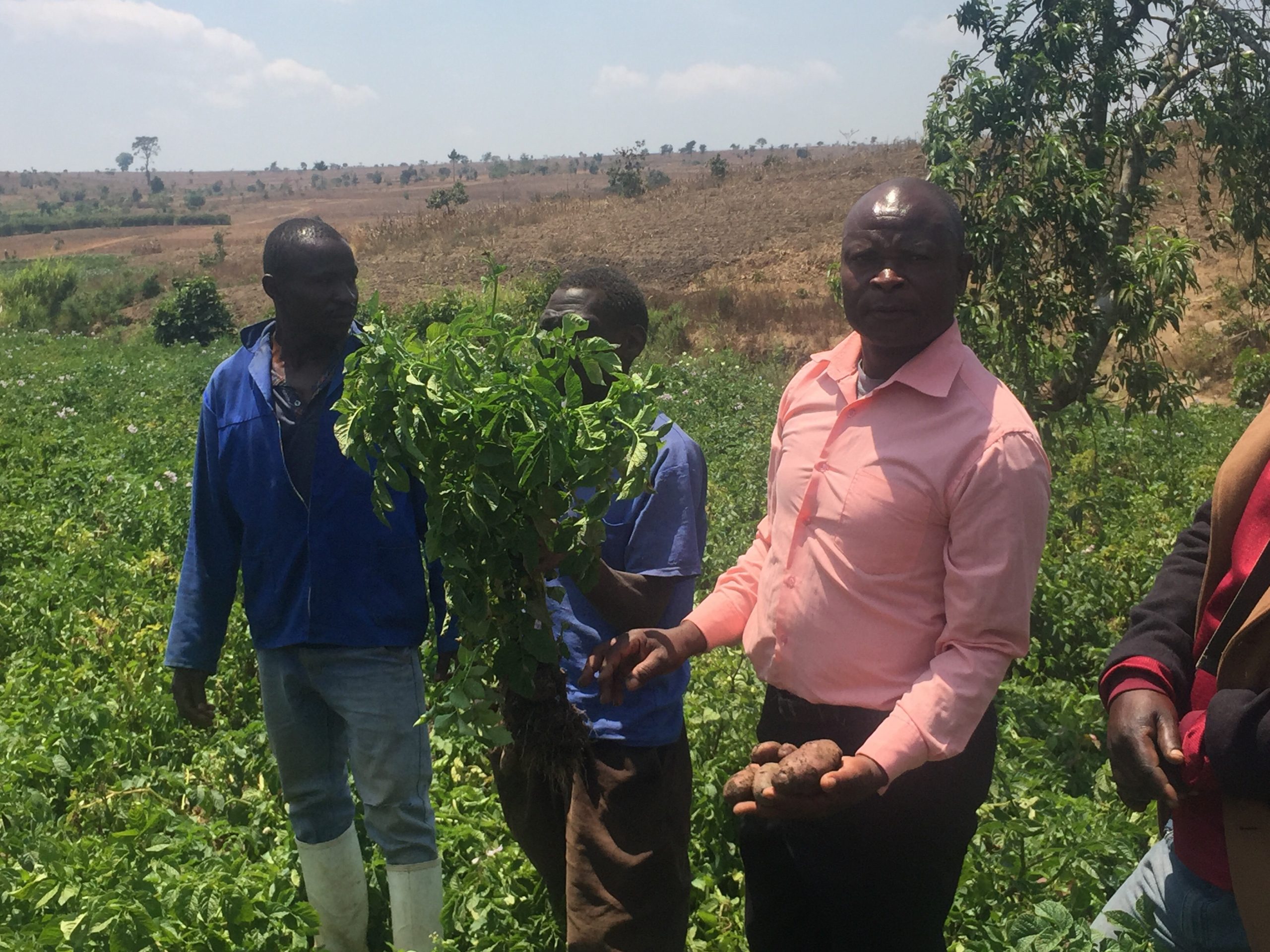 TRADE for climate smart agriculture