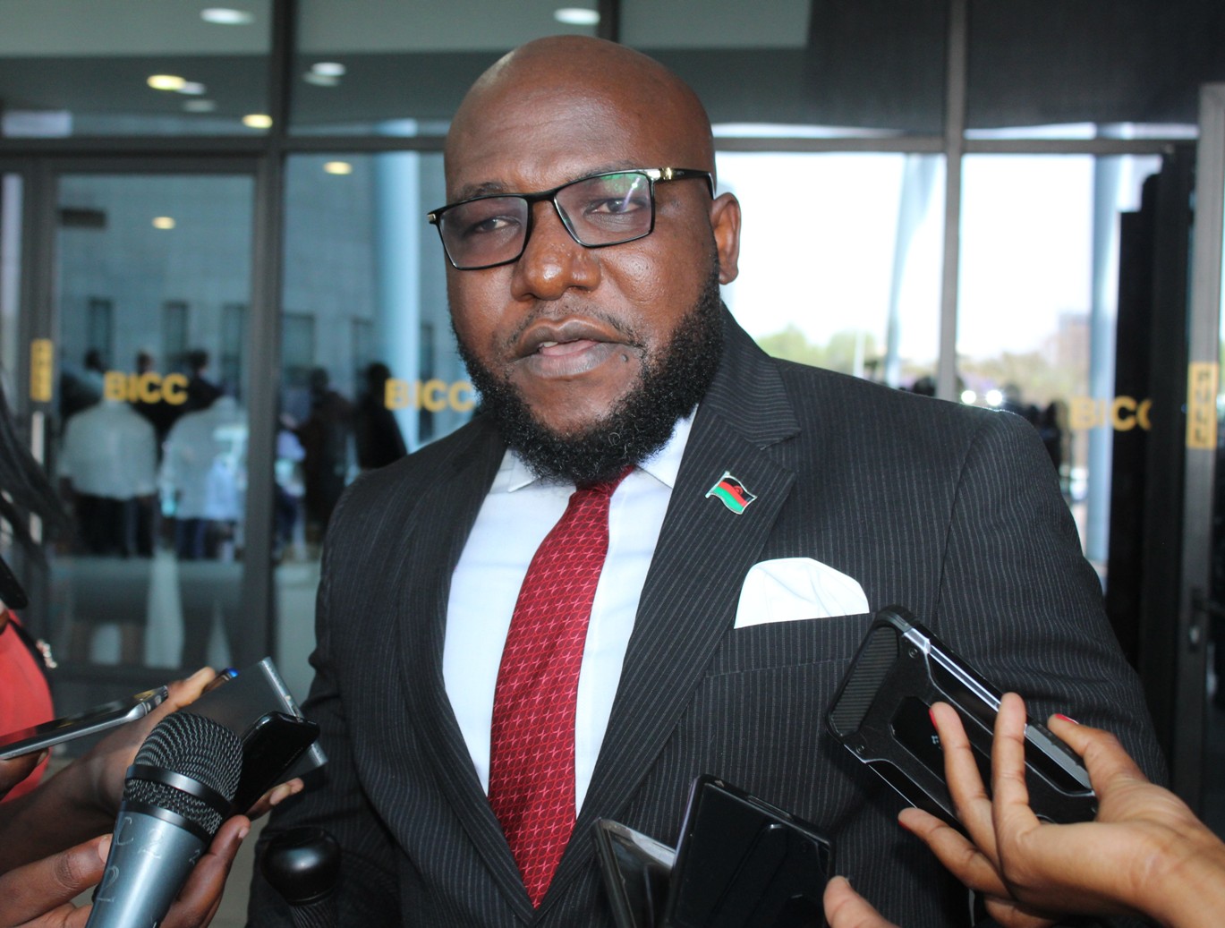 National day of unity to promote sustainable peace, unity-Mtambo