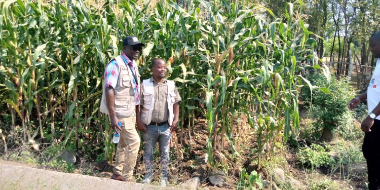 Dodma moves to end hunger in disaster prone areas
