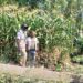 Dodma moves to end hunger in disaster prone areas