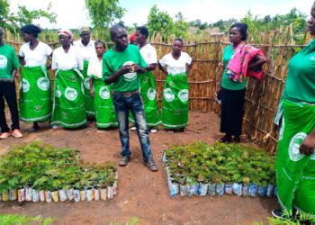COMSIP group conserving environment by reusing plastics
