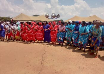 Senior Chief Malemia condemns party colours during government activities