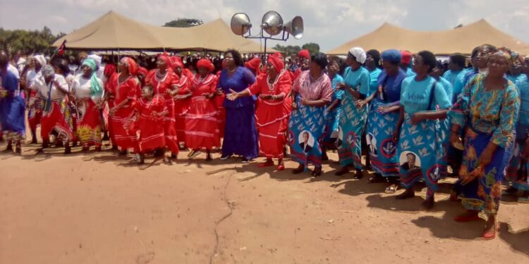 Senior Chief Malemia condemns party colours during government activities