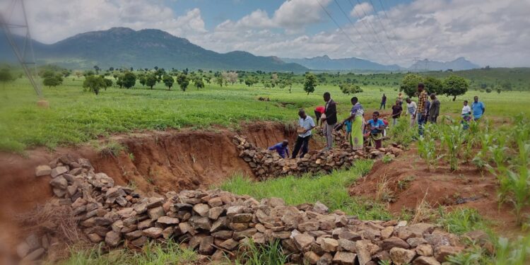 Despite challenges, Kakalo Catchment impresses in CSPWP