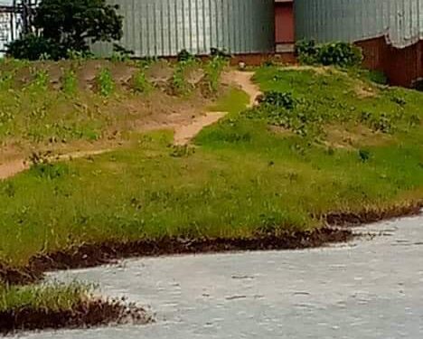 MEPA suspends Mount Meru Millers operations