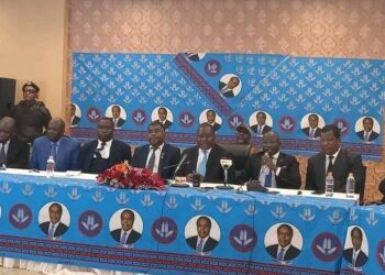 DPP risks leadership vacuum