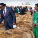 Tobacco prices are very low – Chakwera told