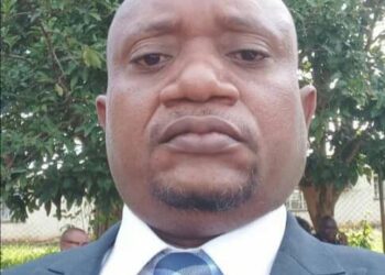 Maize flour importation worries economic commentator