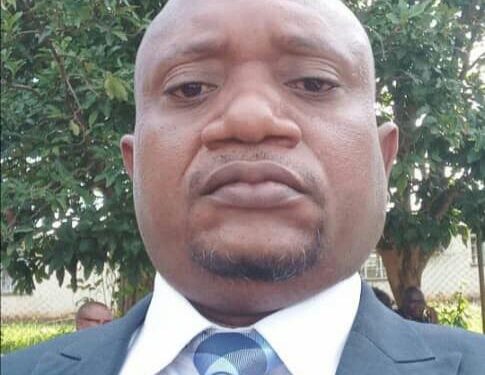 Maize flour importation worries economic commentator