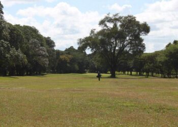 PGA Malawi calls for sponsorship ahead of African Nations Challenge Cup