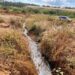 Universal Industries Limited fined K4m for water pollution