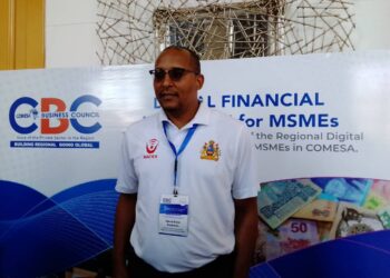 Digital payments scheme key in cross-boarder trade facilitation – Suleman
