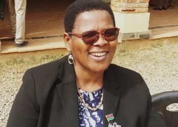 Kwataine hails Balaka CSOs, council relationship 