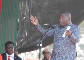 DPP MP dresses down own leadership