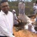 Mzimba mass grave case: Testimony shows victims died of suffocation  