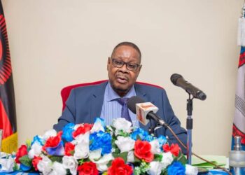 Shut up or go back to PP – APM tells Msonda