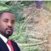 MP Belekenyama under fire: Accused of uprooting constituent maize over land differences