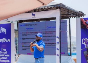 Merchants embrace FDH MiniPOS devices