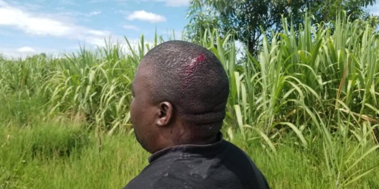 DPP supporters attacked in Lilongwe