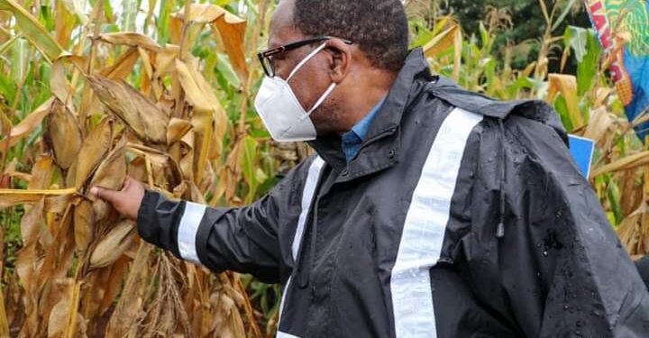 Chakwera to consult on declaring maize a protected crop