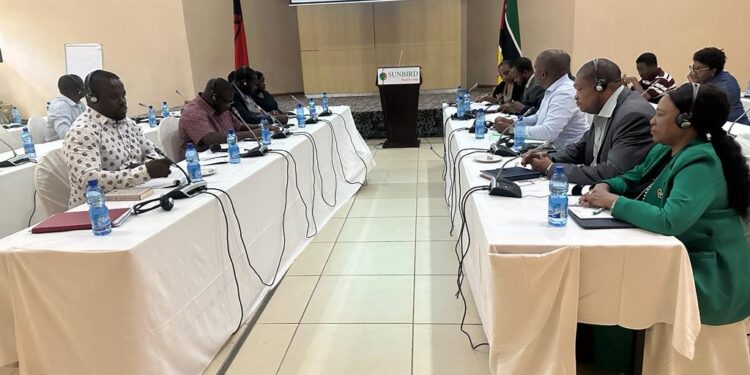 Mozambique government interdicts two police officers who assaulted Malawian truck driver