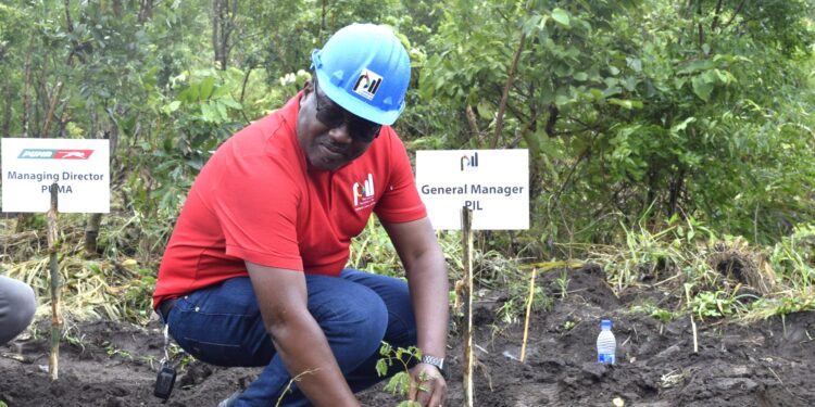 PIL plants 6000 trees in Soche Mountain
