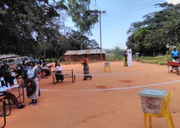 Court shows no compassion for Compassion Party on elections