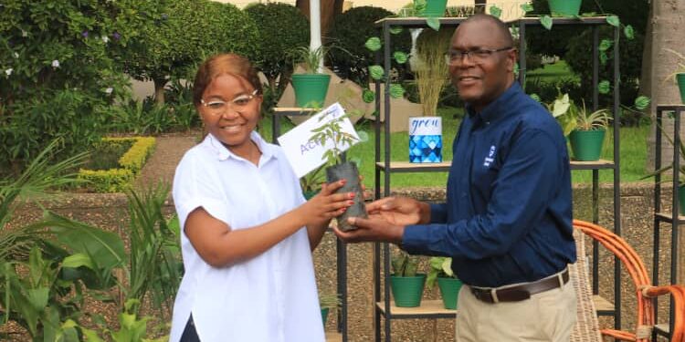 Standard Bank promotes a Green Lilongwe through tree-planting drive