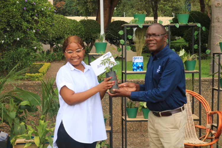 Standard Bank promotes a Green Lilongwe through tree-planting drive