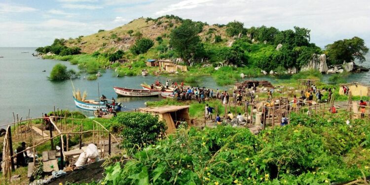 Culture preserves threatened fish species at Malawi’s fishing island