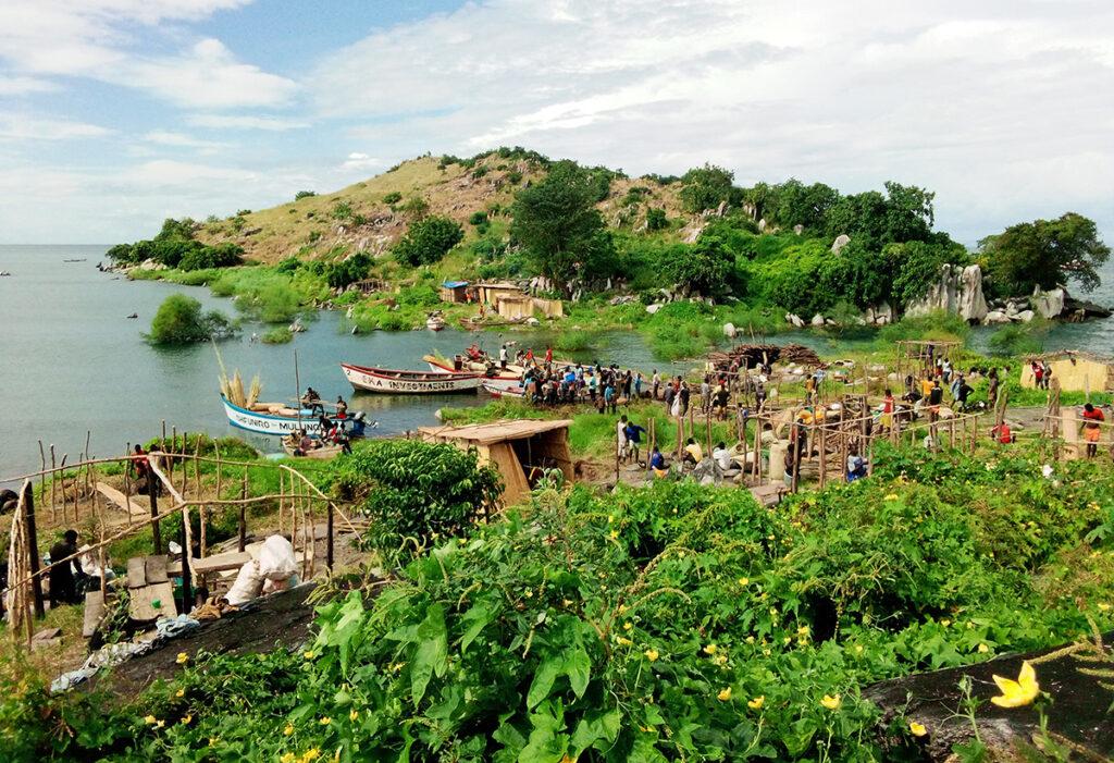 Culture preserves threatened fish species at Malawi’s fishing island