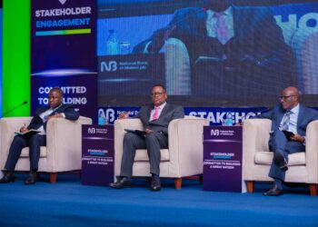 NBM Plc re-affirms growth in Mozambique, Zambia