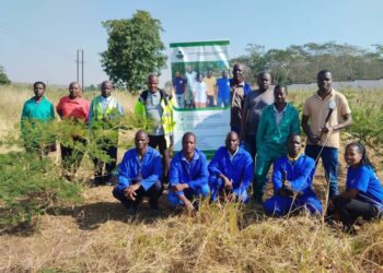 WNRCT takes care of trees planted in 2023/2024 season