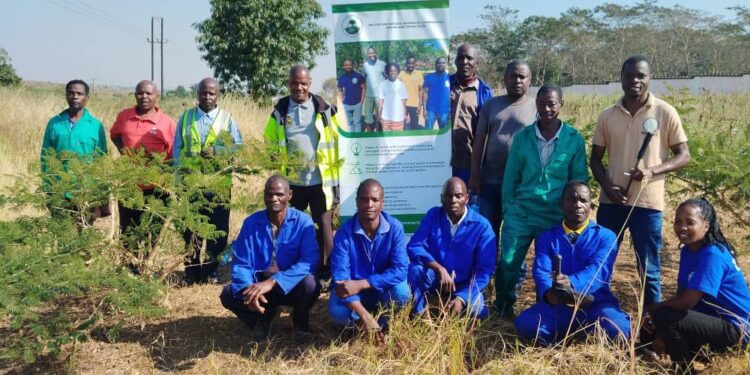 WNRCT takes care of trees planted in 2023/2024 season