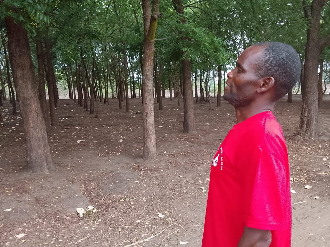 Can Malawi tackle climate change, food insecurity through real time data?
