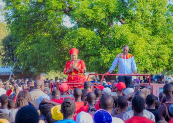 UTM has solution to current economic challenges – Kabambe