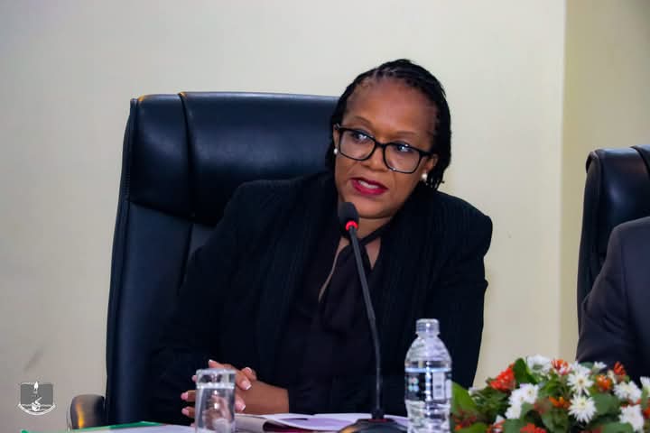 MEC nullifies Mtandire Mtsiliza constituency elections