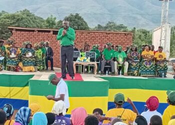 NDP ready to form alliance ahead of September elections