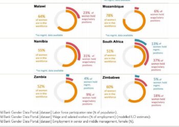 Report exposes hidden crisis in Southern Africa’s Public Health Sector: Gender equality on paper, patriarchy in practice