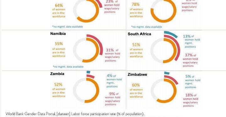 Report exposes hidden crisis in Southern Africa’s Public Health Sector: Gender equality on paper, patriarchy in practice